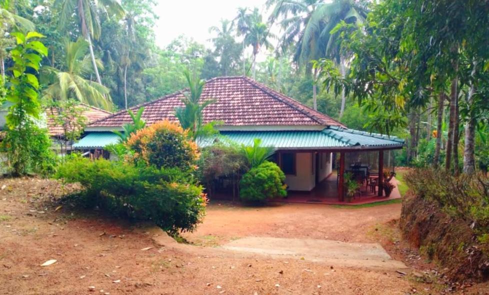 Hiriketiya Green Hill Home Dikwella Extérieur photo