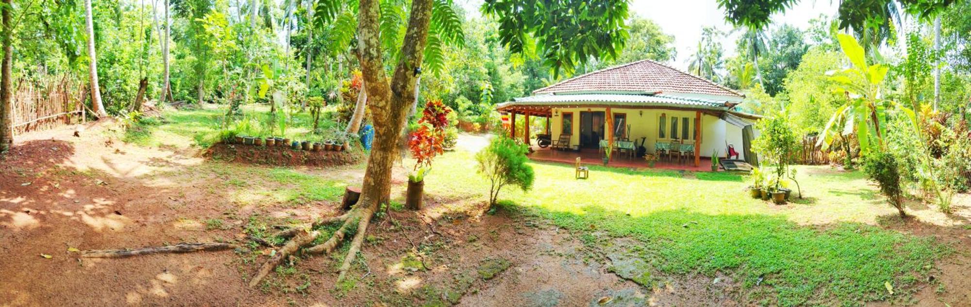 Hiriketiya Green Hill Home Dikwella Extérieur photo